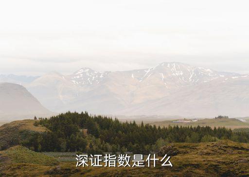 深證指數(shù)是什么