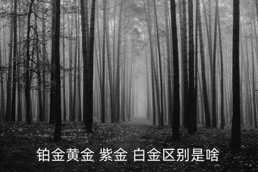 鉑金黃金 紫金 白金區(qū)別是啥