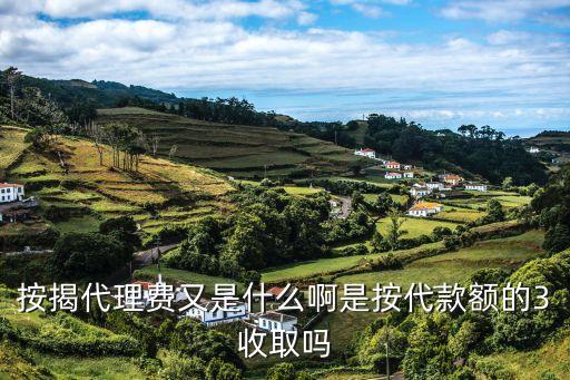 貸款的代辦費(fèi)是什么，按揭代理費(fèi)又是什么啊是按代款額的3收取嗎