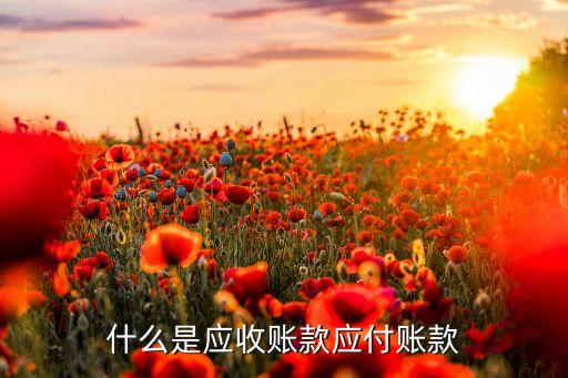 以應收賬款是什么意思，應收賬款的概述是什么