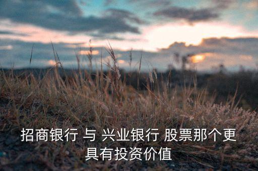 招商銀行 與 興業(yè)銀行 股票那個(gè)更具有投資價(jià)值
