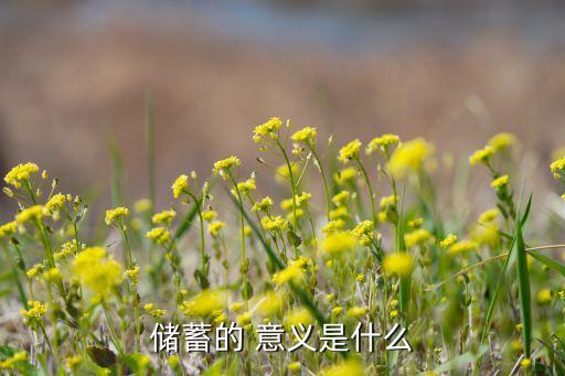 現(xiàn)在存錢的意義是什么意思，存錢的作用有哪些
