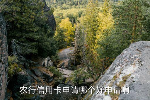 農(nóng)行什么信用卡好下卡，農(nóng)行首卡什么卡好容易下卡