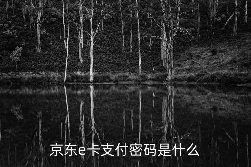 京東 農(nóng)行信用卡 支付密碼是什么情況，京東e卡支付密碼是什么