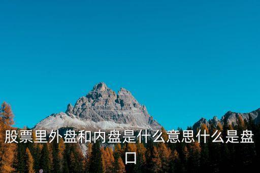 股票里外盤和內(nèi)盤是什么意思什么是盤口