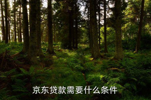 京東貸款需要什么條件