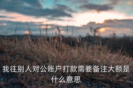 我往別人對公賬戶打款需要備注大額是什么意思