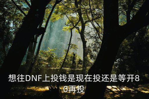 想往DNF上投錢是現(xiàn)在投還是等開80再投