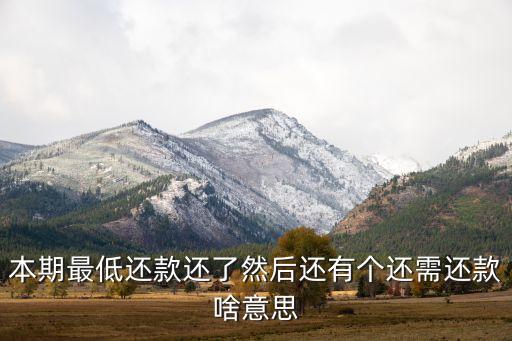 本期最低還款還了然后還有個還需還款啥意思