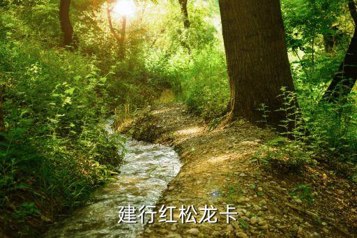 建行紅松龍卡