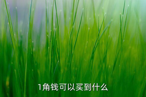 1角錢可以買到什么