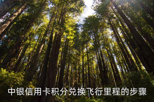 中銀信用卡積分兌換飛行里程的步驟