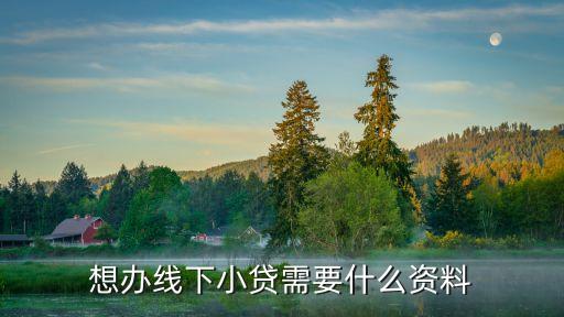 想辦線下小貸需要什么資料