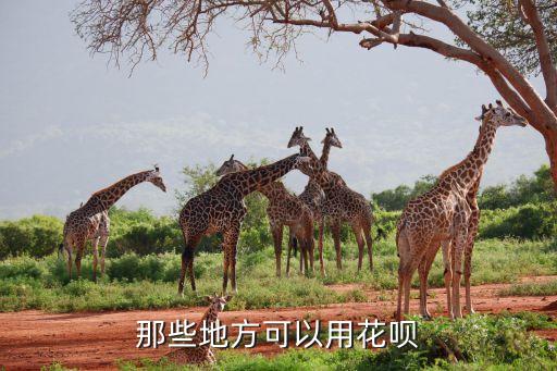 那些地方可以用花唄