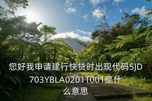 您好我申請建行快貸時出現(xiàn)代碼SJD703YBLA0201T001是什么意思