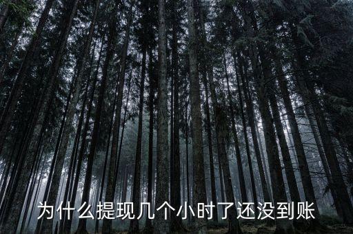 為什么提現(xiàn)幾個(gè)小時(shí)了還沒(méi)到賬