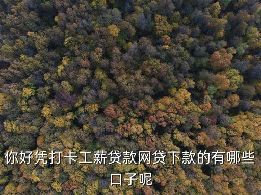 你好憑打卡工薪貸款網(wǎng)貸下款的有哪些口子呢