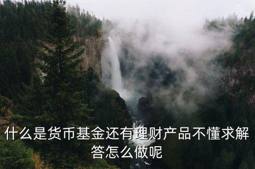 貨幣基金是做什么的，什么是貨幣基金還有理財(cái)產(chǎn)品不懂求解答怎么做呢
