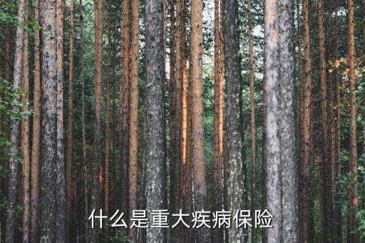 什么是重疾保險，重大疾病保險是什么意思