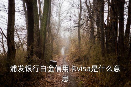 浦發(fā)銀行白金信用卡visa是什么意思