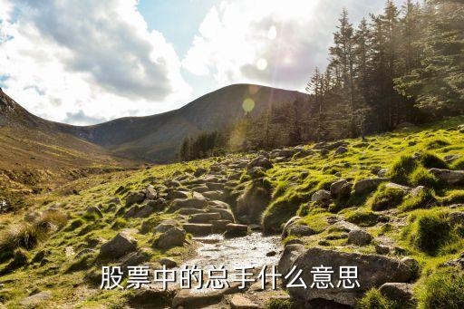 股指期貨總手是什么意思，股票中的總手什么意思