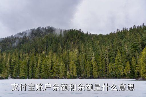 支付寶里的余額是什么意思啊，裝了個(gè)支付寶發(fā)現(xiàn)里面 有余額是什么意思