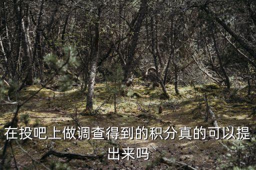 在投吧上做調(diào)查得到的積分真的可以提出來嗎