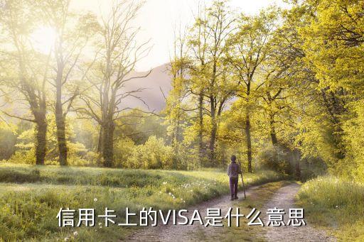 信用卡上的VISA是什么意思