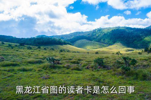 讀者龍卡什么意思，建行的卡上為什么有讀者兩個字