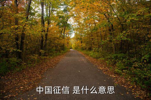 中國(guó)征信 是什么意思