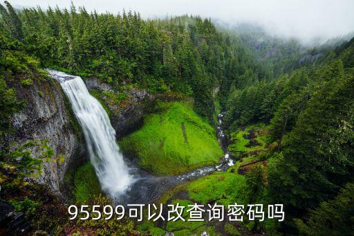 什么電話可以查詢密碼，查手機(jī)卡的密碼打什么電話
