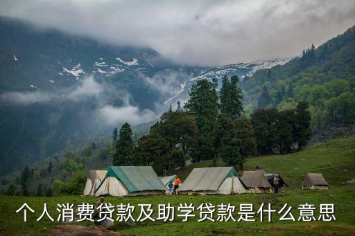 個人消費(fèi)貸款及助學(xué)貸款是什么意思