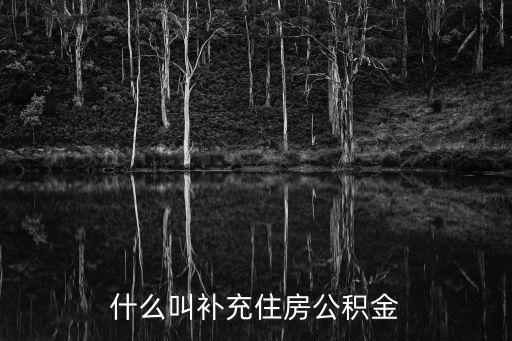 什么叫補充住房公積金