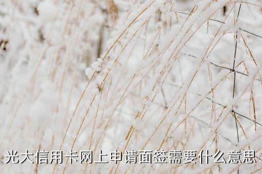 重慶光大面簽要什么意思，光大銀行信用卡面簽是干什么的
