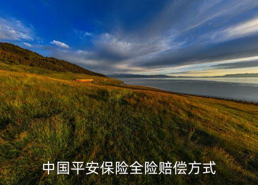 中國(guó)平安保險(xiǎn)全險(xiǎn)賠償方式