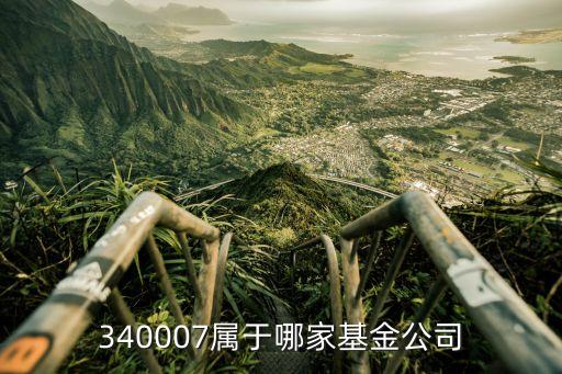 340007屬于哪家基金公司