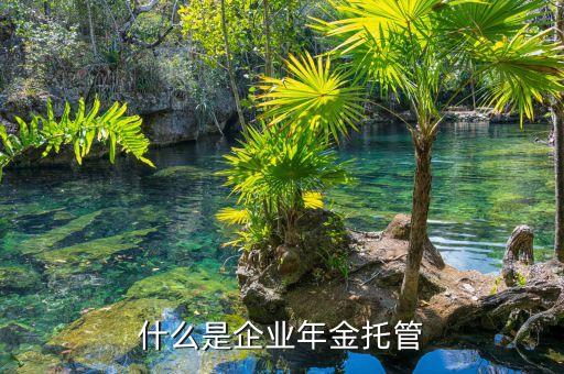 銀行企金是做什么，什么是企業(yè)年金托管