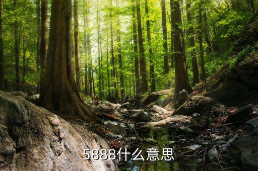 5888什么意思