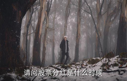 請問股票分紅是什么時候