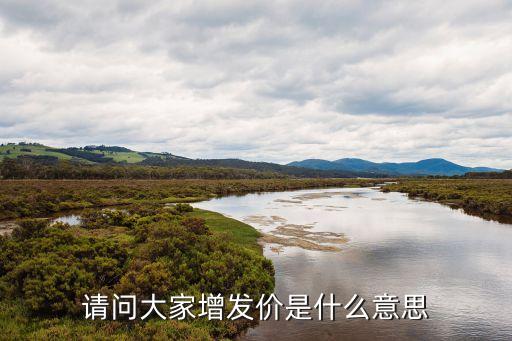 請(qǐng)問(wèn)大家增發(fā)價(jià)是什么意思