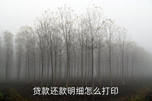 貸款還款明細(xì)怎么打印