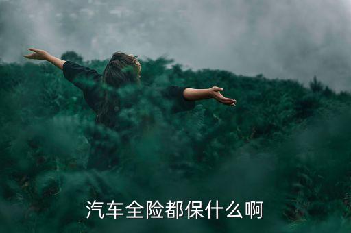汽車全險(xiǎn)都保什么啊