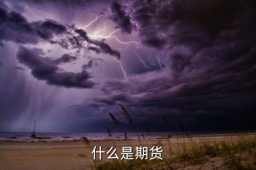 什么是期貨