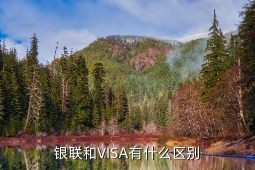 什么是 境外銀聯(lián)卡，銀聯(lián)和VISA有什么區(qū)別