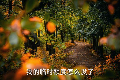 為什么沒有臨時(shí)額度了，我的臨時(shí)額度怎么沒了