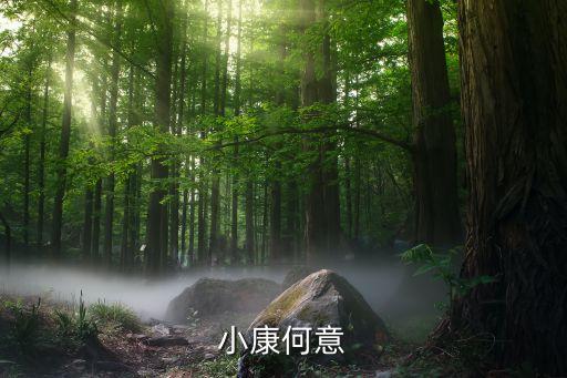 什么是小康家庭，現(xiàn)在的小康水平是什么