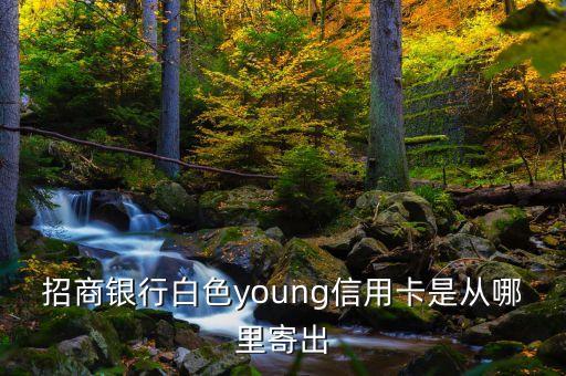 招行young卡是用什么寄，招行信用卡寄送方式