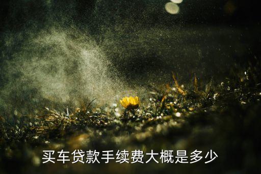 用車子貸款有什么手續(xù)費(fèi)多少錢，買車貸款手續(xù)費(fèi)大概是多少