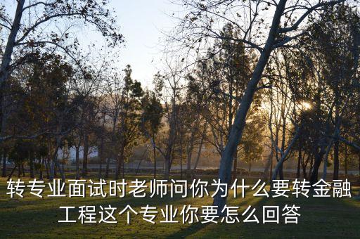 怎樣回答 為什么要轉(zhuǎn)金融，為什么轉(zhuǎn)專業(yè)比如軟件轉(zhuǎn)金融怎樣回答比較好謝謝啦