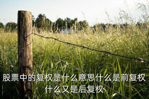 炒股前復(fù)權(quán)什么意思，股票前復(fù)權(quán)是什么意思